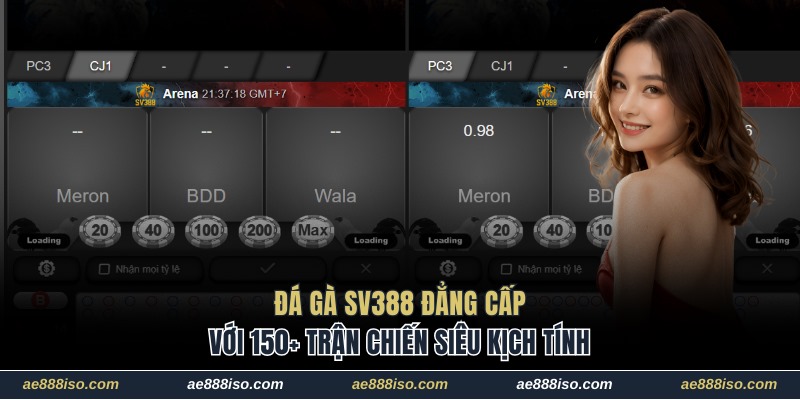 đá gà SV388