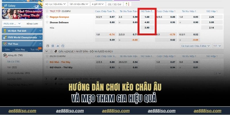 Kèo châu Âu
